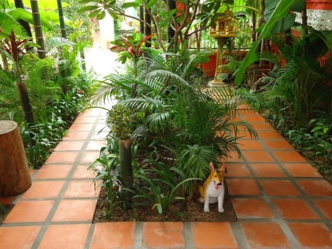 Ladybug Guesthouse Sziemreap Kültér fotó